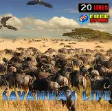 Savannas-Life на Чемпіон